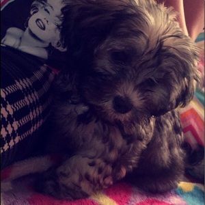 Meet your Posher, Maria